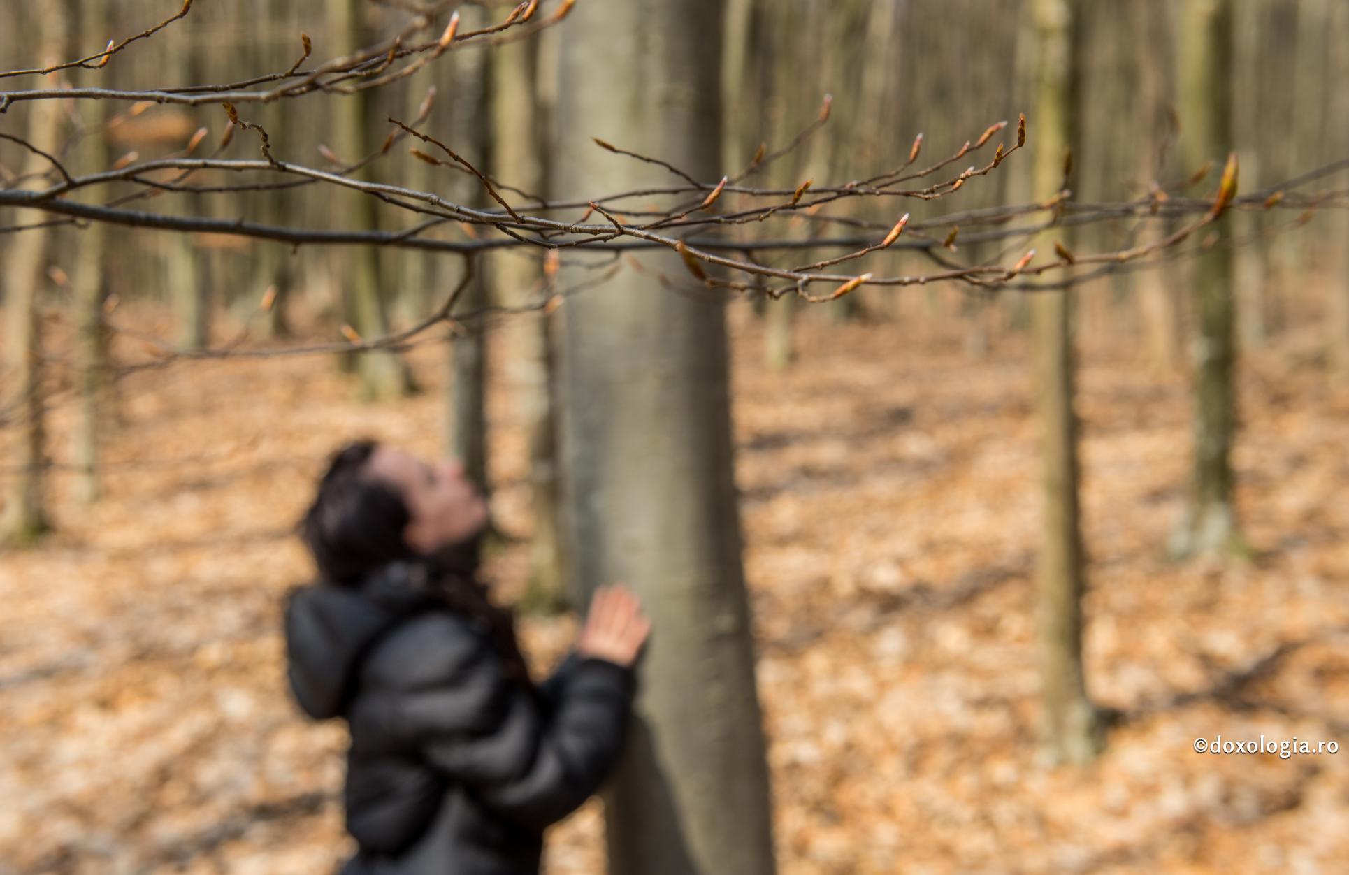 Faptele omului au valoare numai dacă acesta este nemuritor / Foto: Constantin Comici persoană atingând un copac