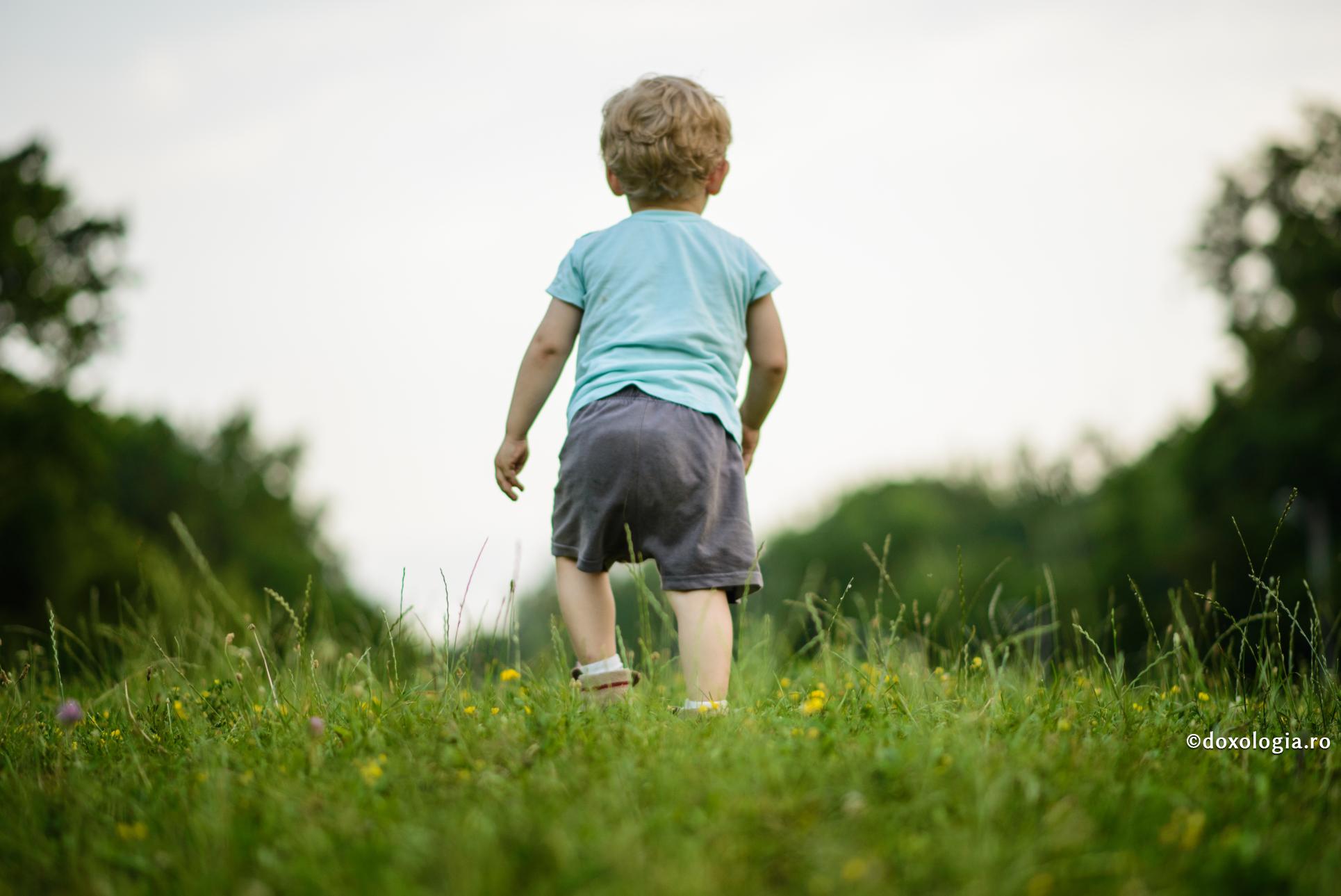 Superioritatea creației – omul, față în față cu lumea lui Dumnezeu