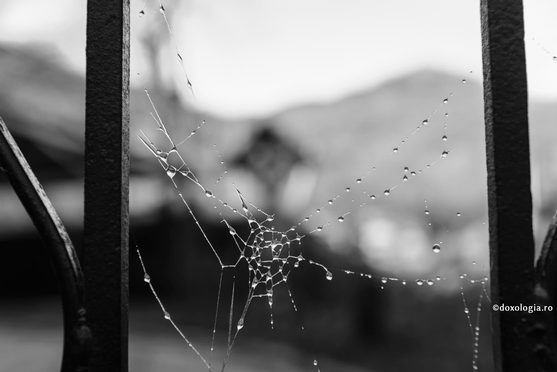 Cum apare răceala față de Dumnezeu