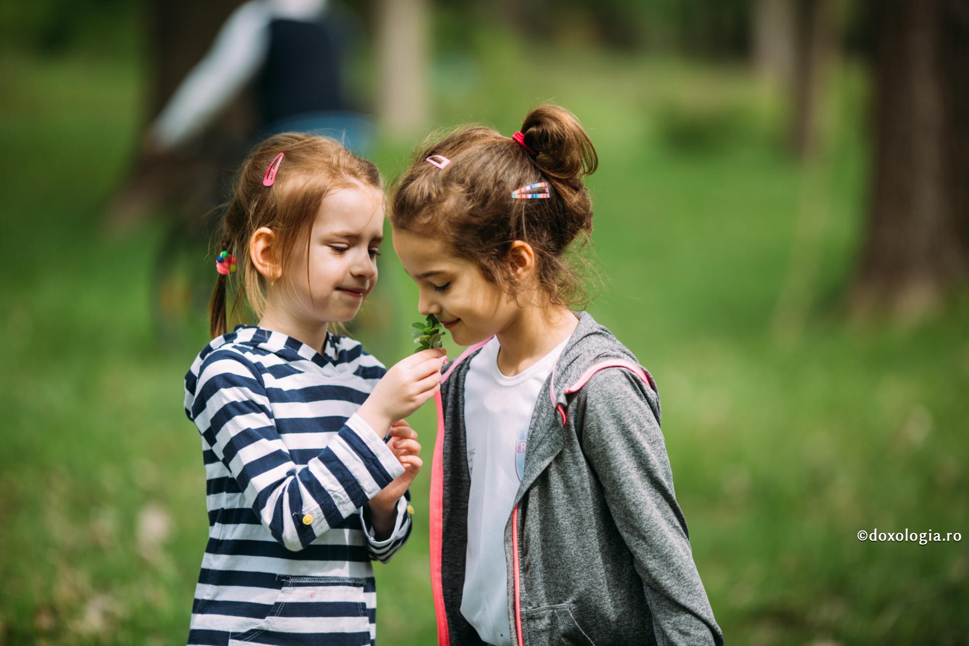 „Nu faceți altora ceea ce nu doriți a se face vouă!”