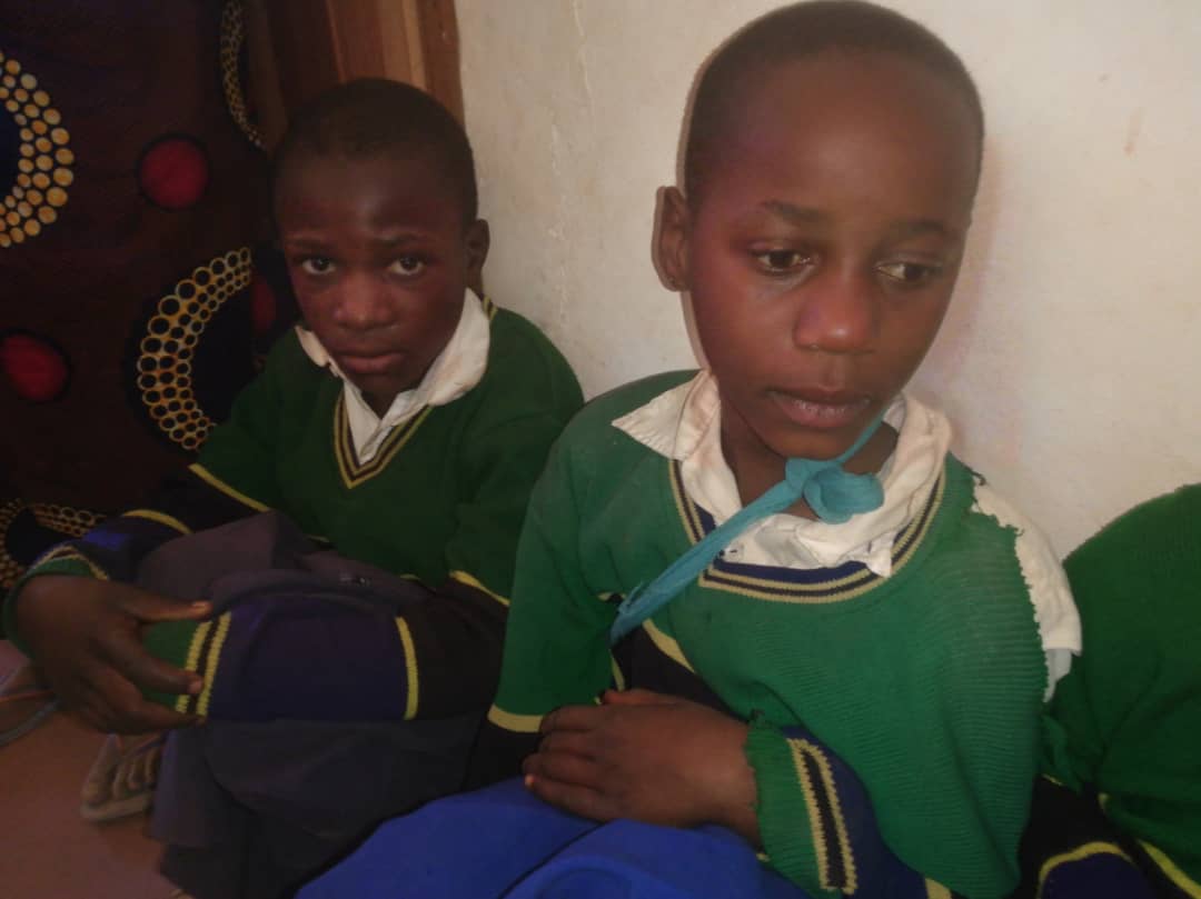 Ilalasimba, locul în care dorm leii Ilalasimba, locul în care dorm leii