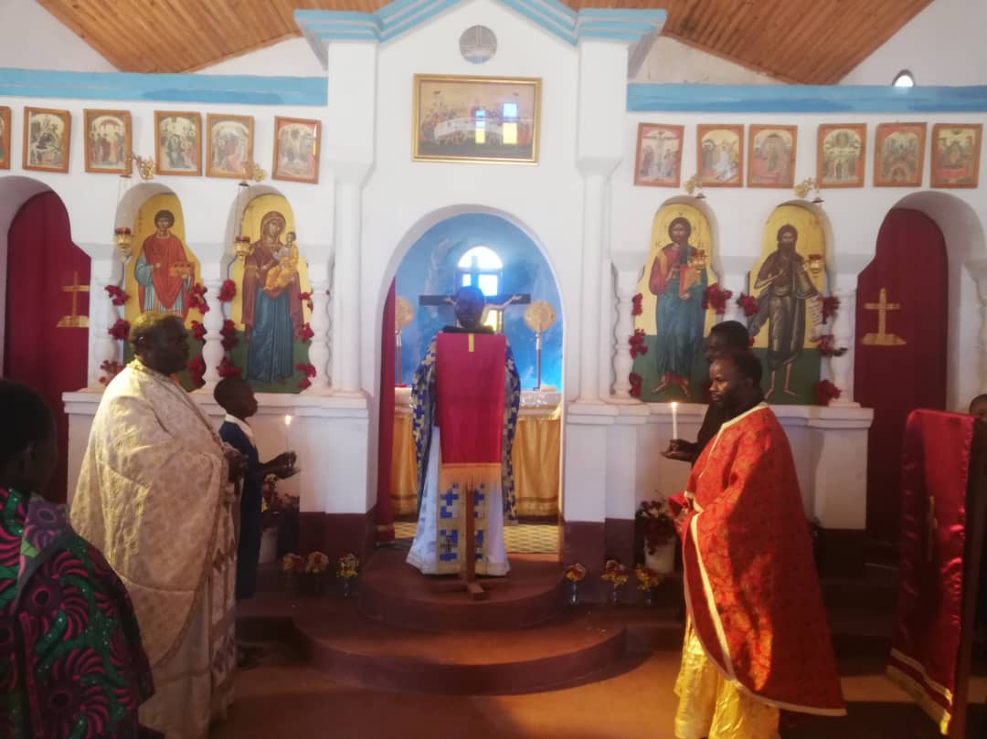 Ilalasimba, locul în care dorm leii Ilalasimba, locul în care dorm leii