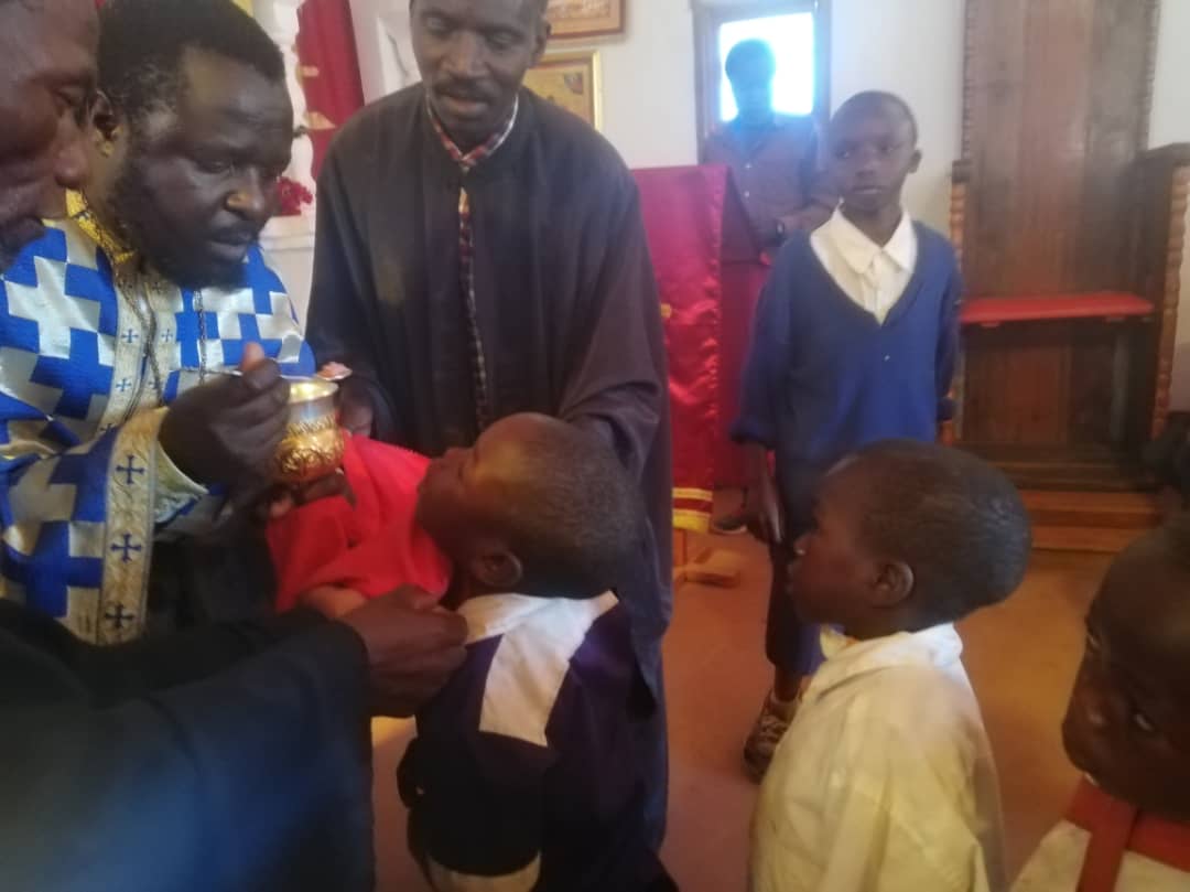 Ilalasimba, locul în care dorm leii Ilalasimba, locul în care dorm leii