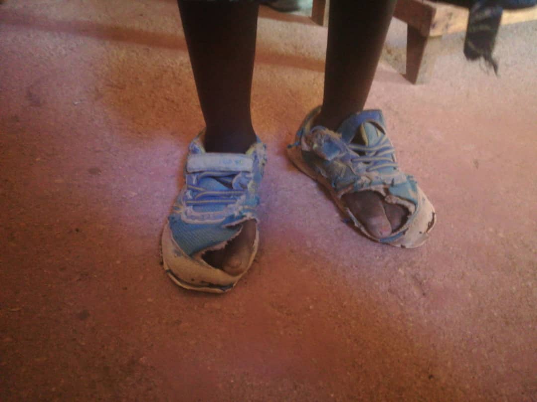 Ilalasimba, locul în care dorm leii Ilalasimba, locul în care dorm leii