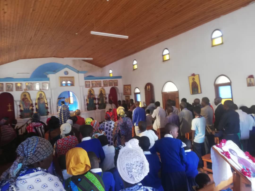 Ilalasimba, locul în care dorm leii Ilalasimba, locul în care dorm leii