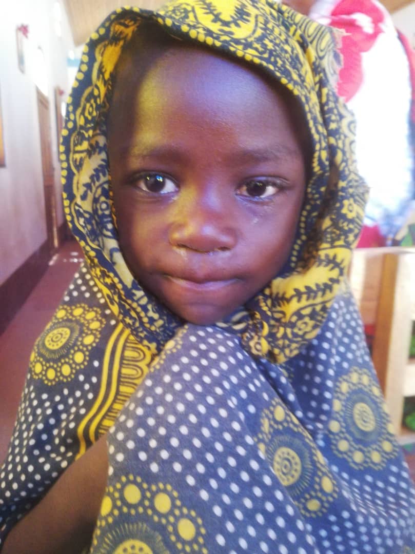 Ilalasimba, locul în care dorm leii Ilalasimba, locul în care dorm leii