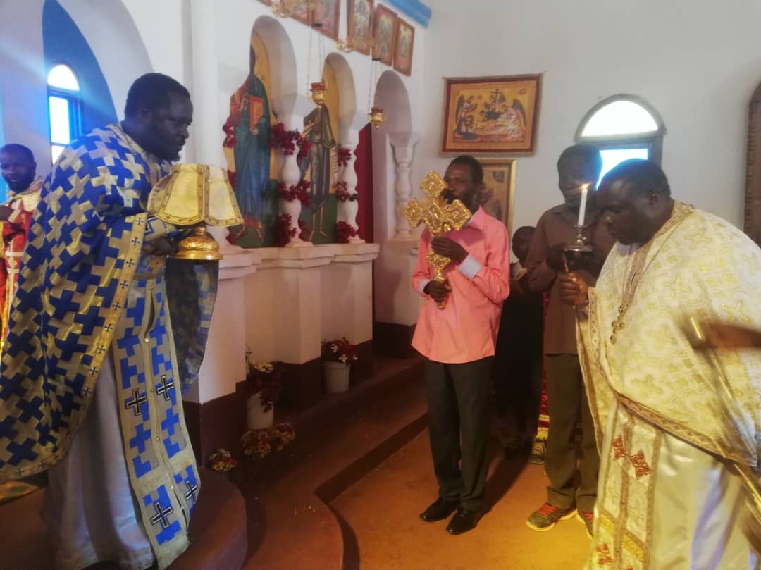 Ilalasimba, locul în care dorm leii Ilalasimba, locul în care dorm leii