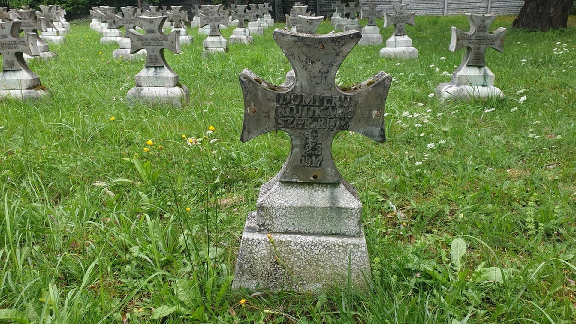 3021 km pe urmele ostașilor români din Primul Război Mondial, înmormântați în Polonia