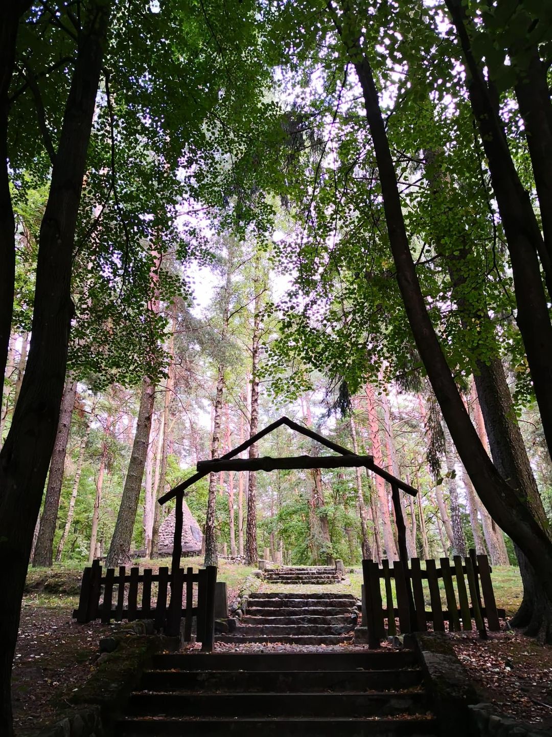 3021 km pe urmele ostașilor români din Primul Război Mondial, înmormântați în Polonia