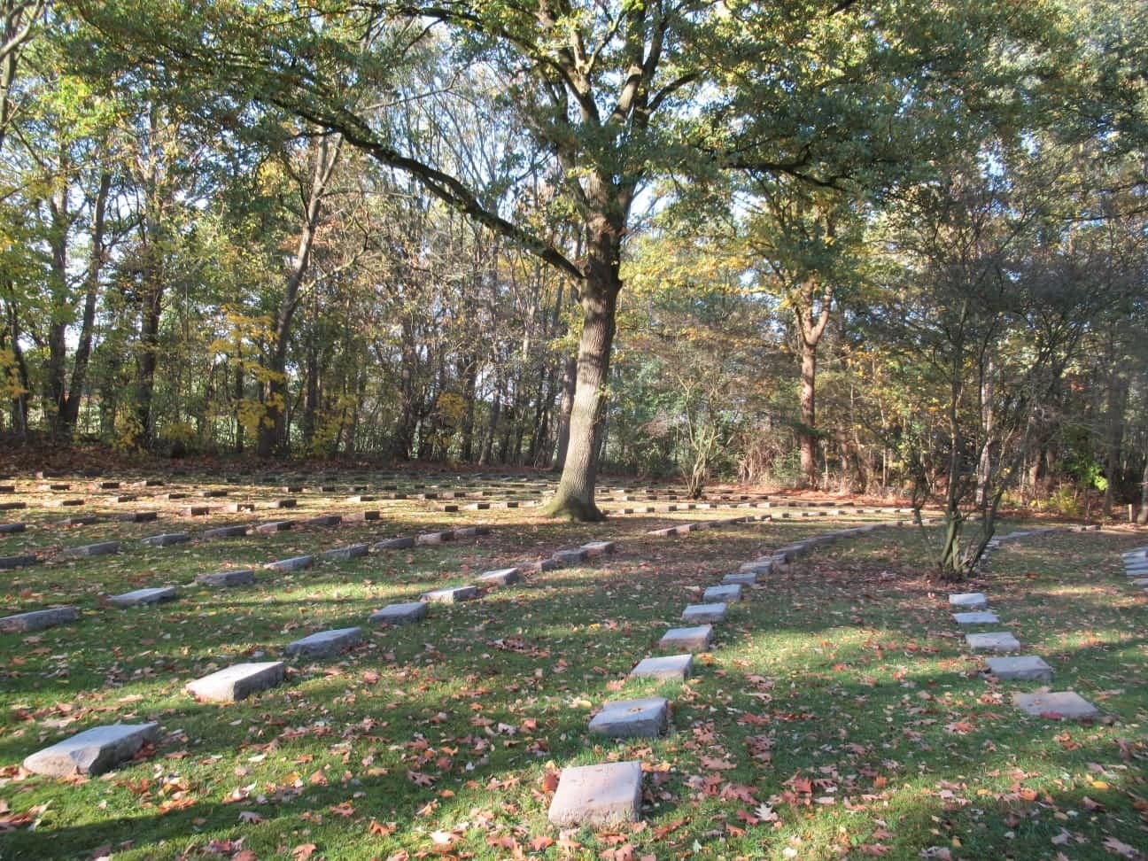 „Cimitirul de onoare” din Hausdülmen – morminte ale soldaților români în Germania (III)