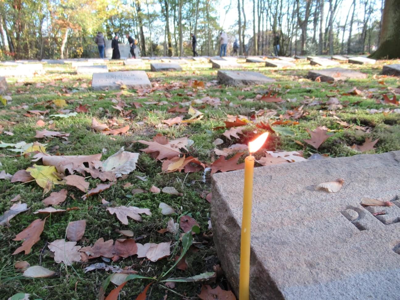 „Cimitirul de onoare” din Hausdülmen – morminte ale soldaților români în Germania (III)