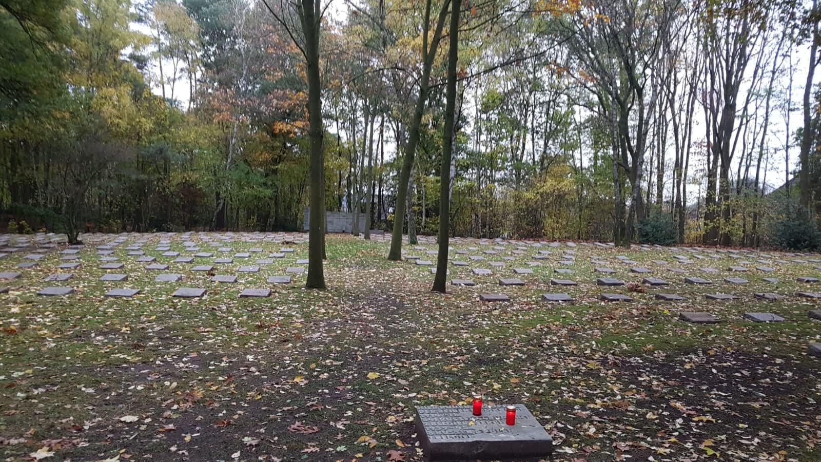 „Cimitirul de onoare” din Hausdülmen – morminte ale soldaților români în Germania (III)