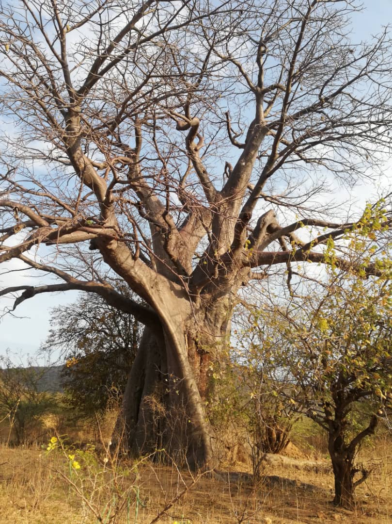 De „Tăierea Capului Sf. Ioan Botezătorul” am sărbătorit hramul în cea mai îndepărtată parohie din Tanzania