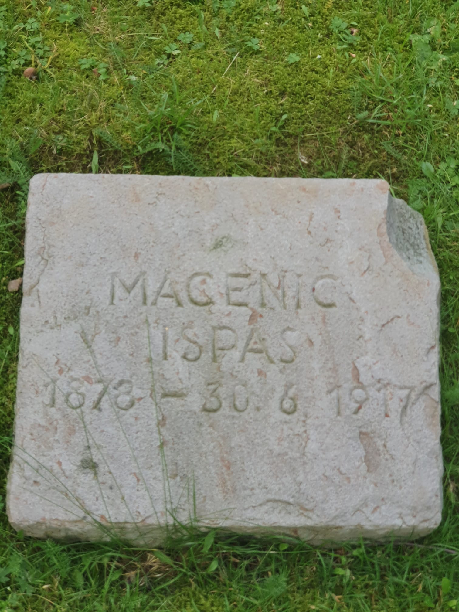 „Cimitirul de onoare” din Hausdülmen – morminte ale soldaților români în Germania (III)