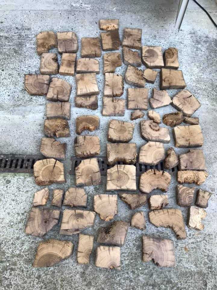 A fost demonstrat științific: Biserica din lemn de la Putna e cea mai veche din România