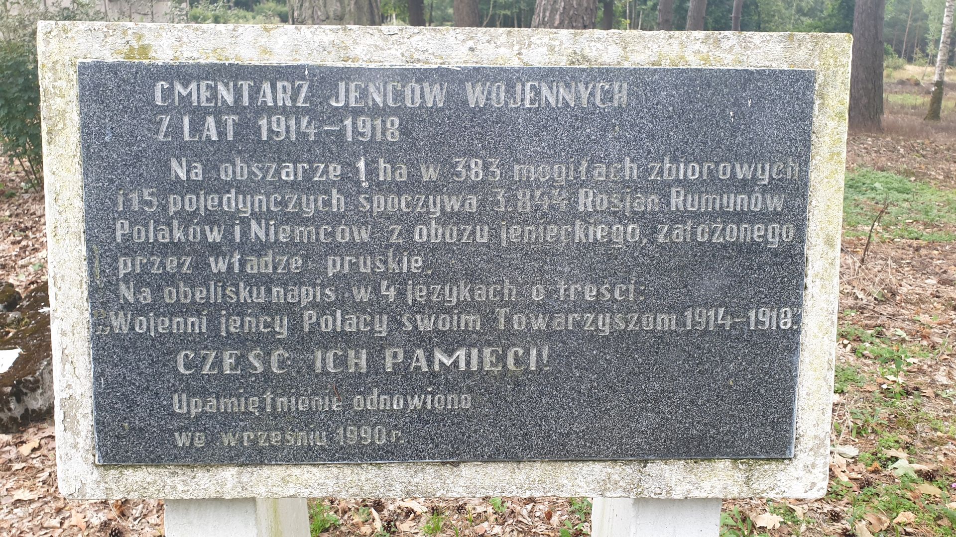 Cimitirul prizonierilor de război din Tuchola – morminte ale soldaților români în Polonia (II)