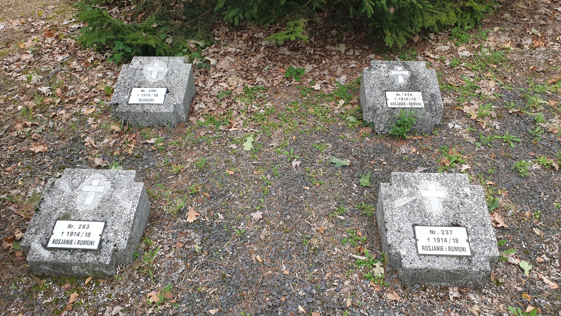 Cimitirul prizonierilor de război din Tuchola – morminte ale soldaților români în Polonia (II)