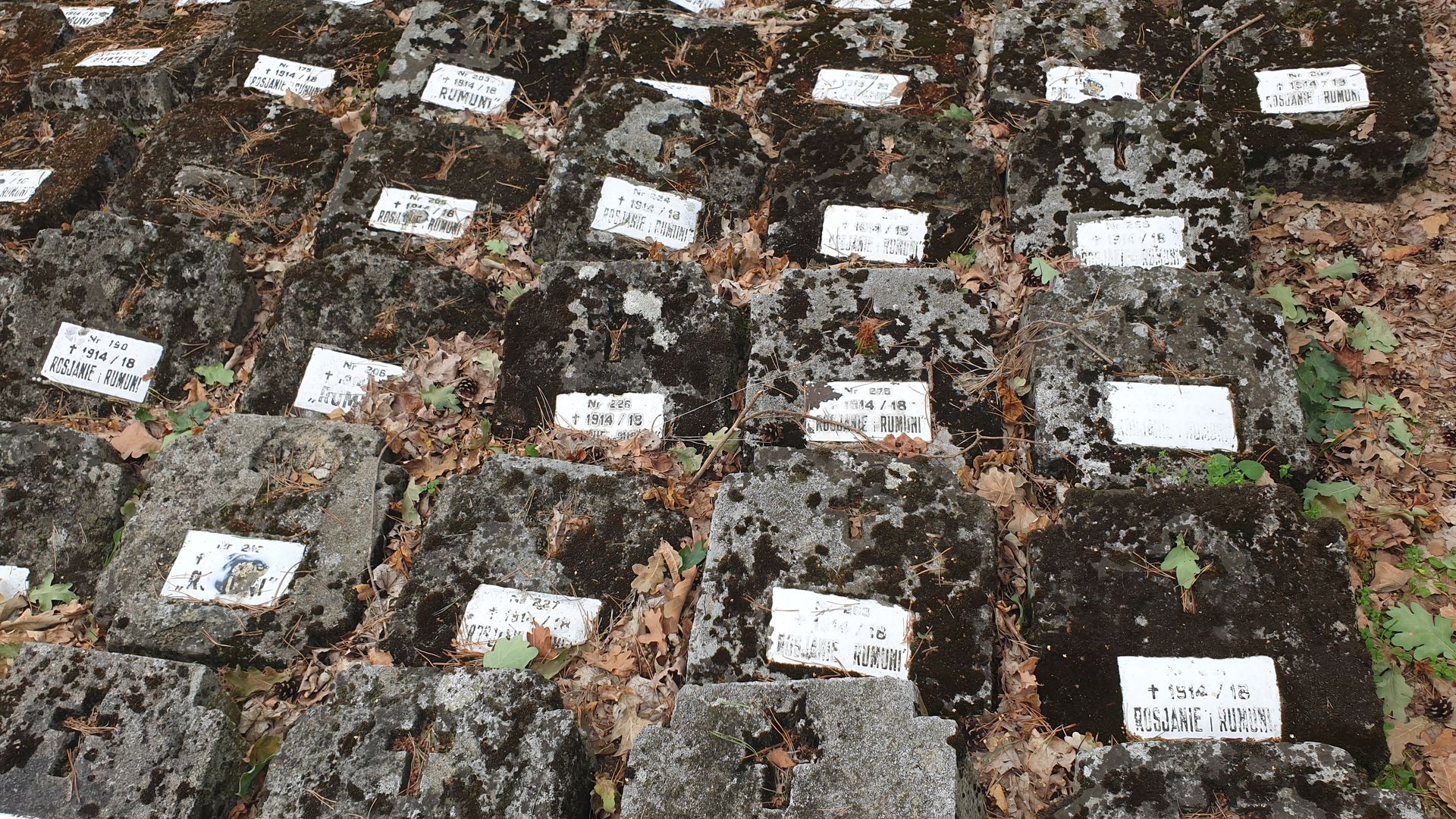 Cimitirul prizonierilor de război din Tuchola – morminte ale soldaților români în Polonia (II)