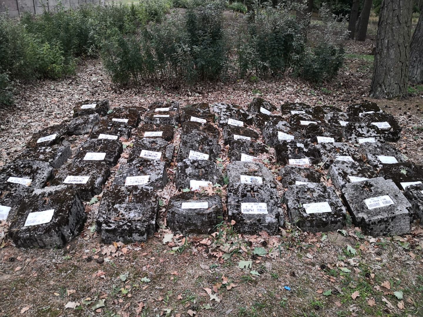 Cimitirul prizonierilor de război din Tuchola – morminte ale soldaților români în Polonia (II)