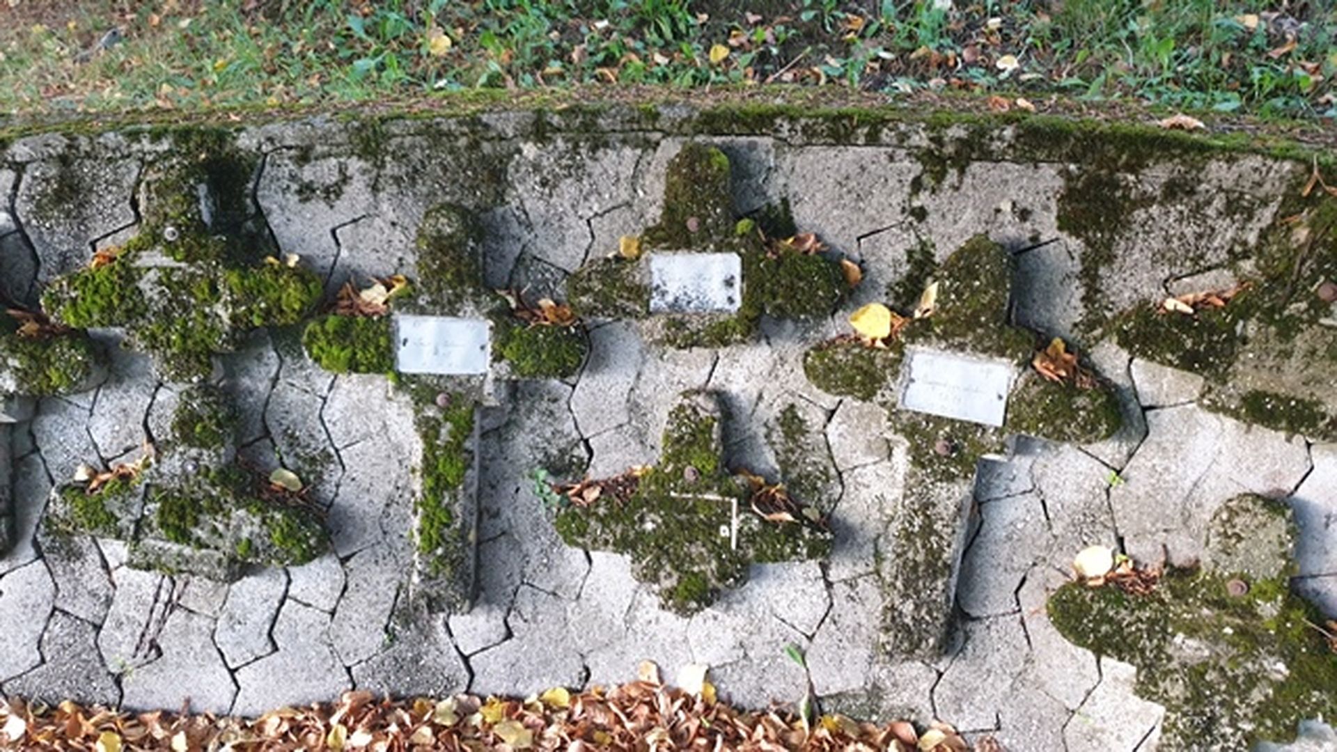 2800 km pe urmele ostașilor români din Primul Război Mondial, înmormântați în Austria și Slovenia