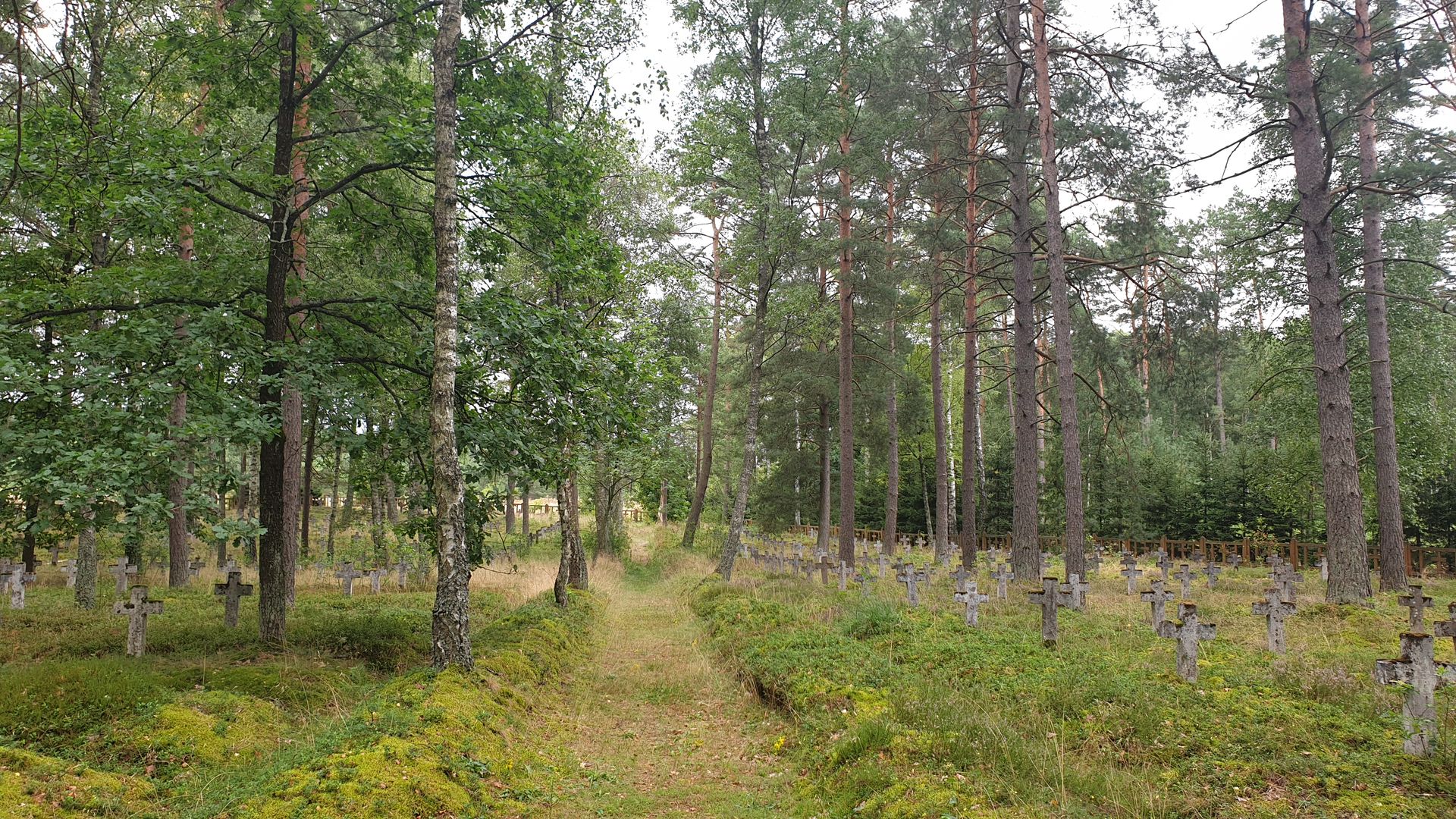 Cimitirul prizonierilor de război din Czersk – morminte ale soldaților români în Polonia (III)