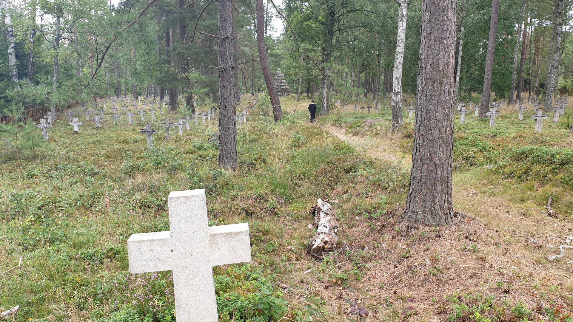 Cimitirul prizonierilor de război din Czersk – morminte ale soldaților români în Polonia (III)