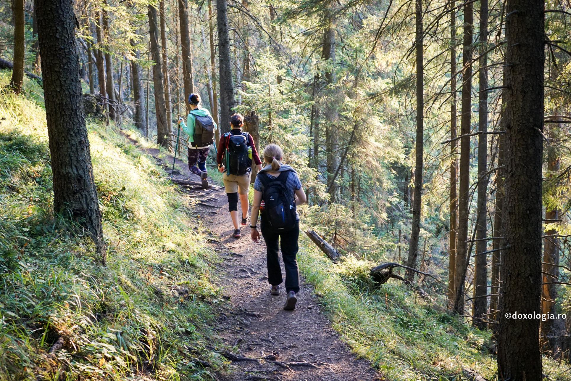 Ispita e permisă de Dumnezeu, ca să încerce cumpăna libertății noastre
