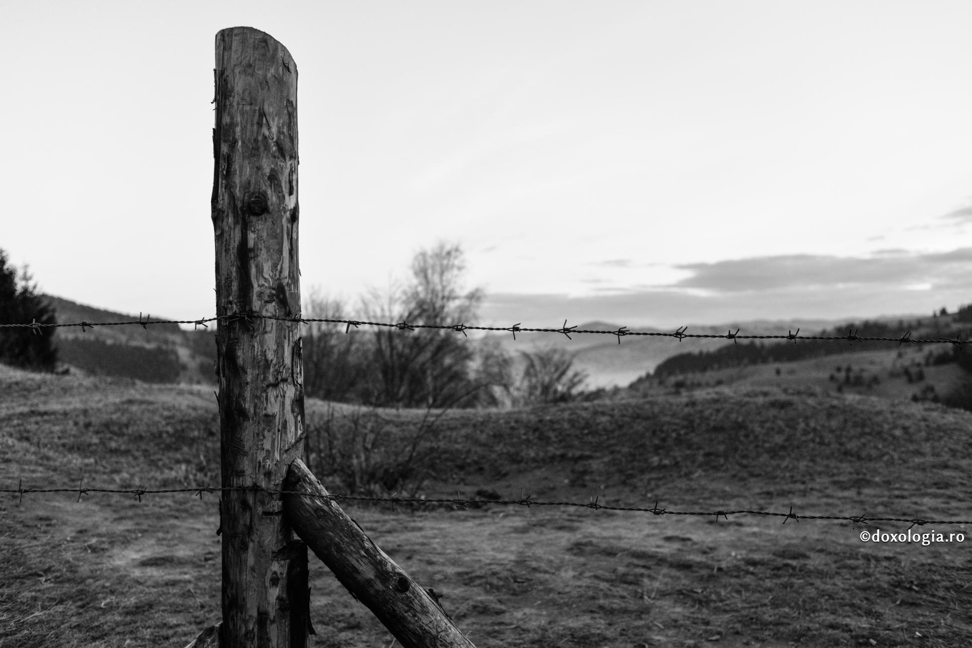 Sfântul Nifon – cuvânt despre pruncii care mor în molime