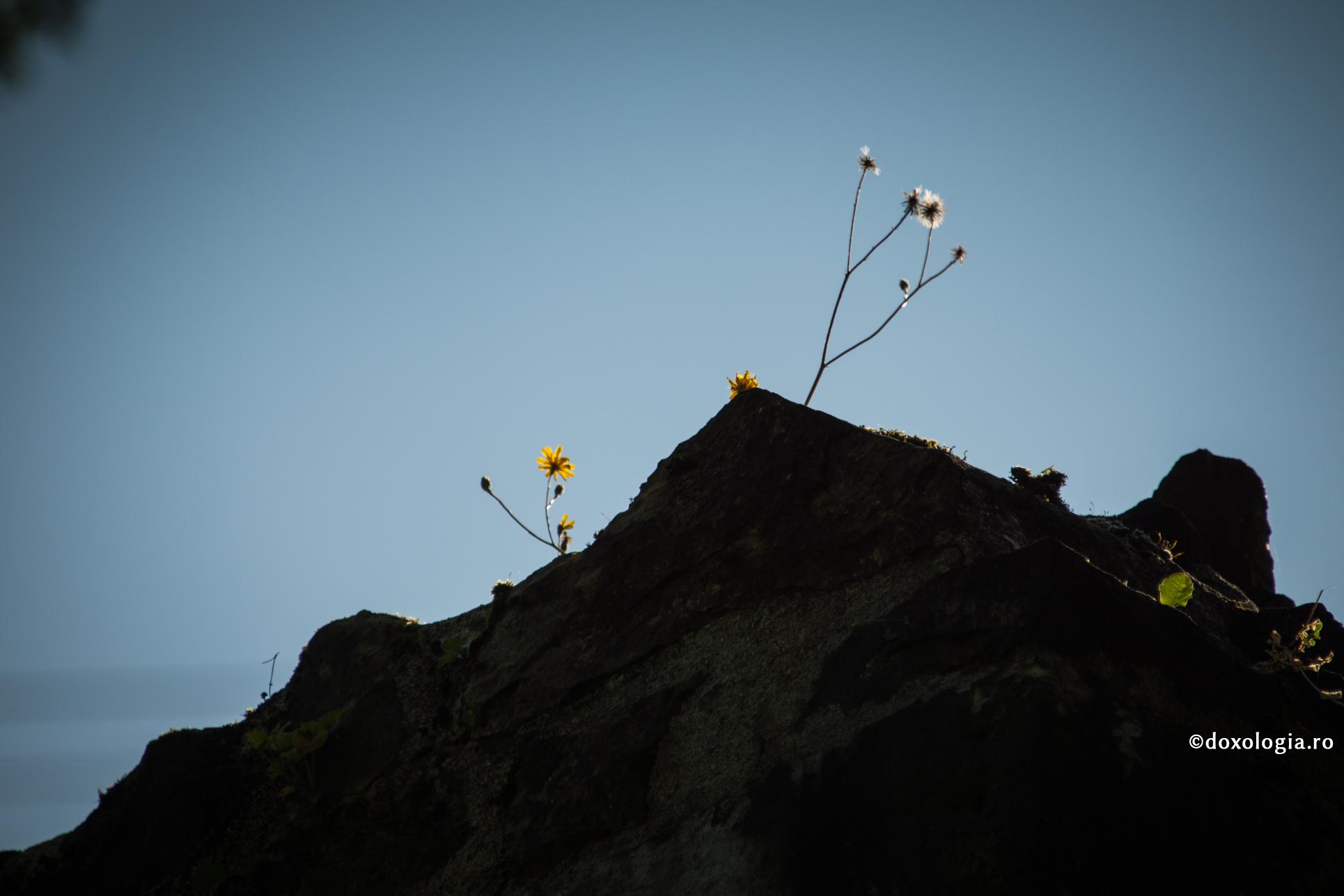 Fără Dumnezeu – o veșnică reîntoarcere la erorile altor vremuri