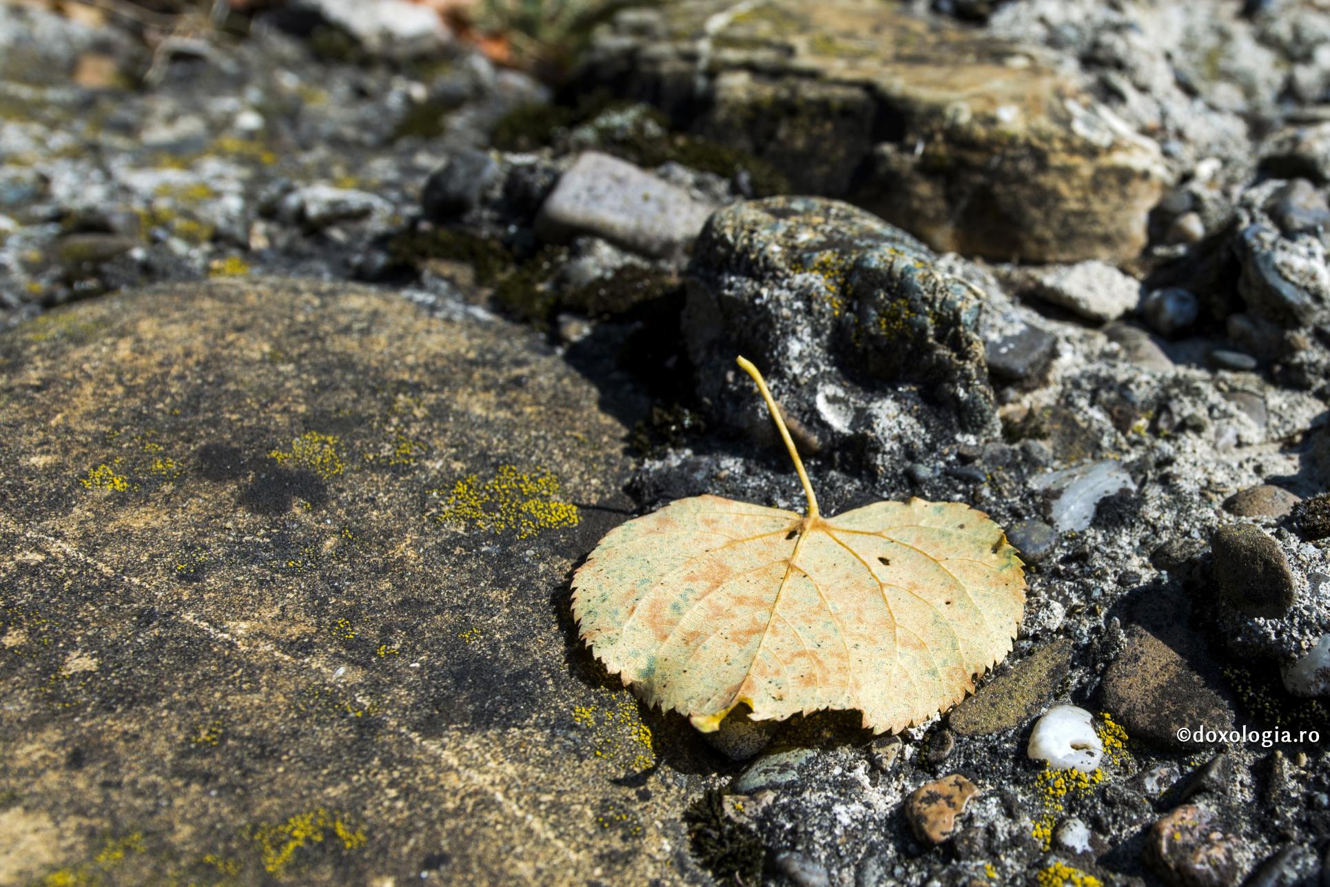 Lipsirea de Dumnezeu, cea mai mare pagubă provocată de păcat