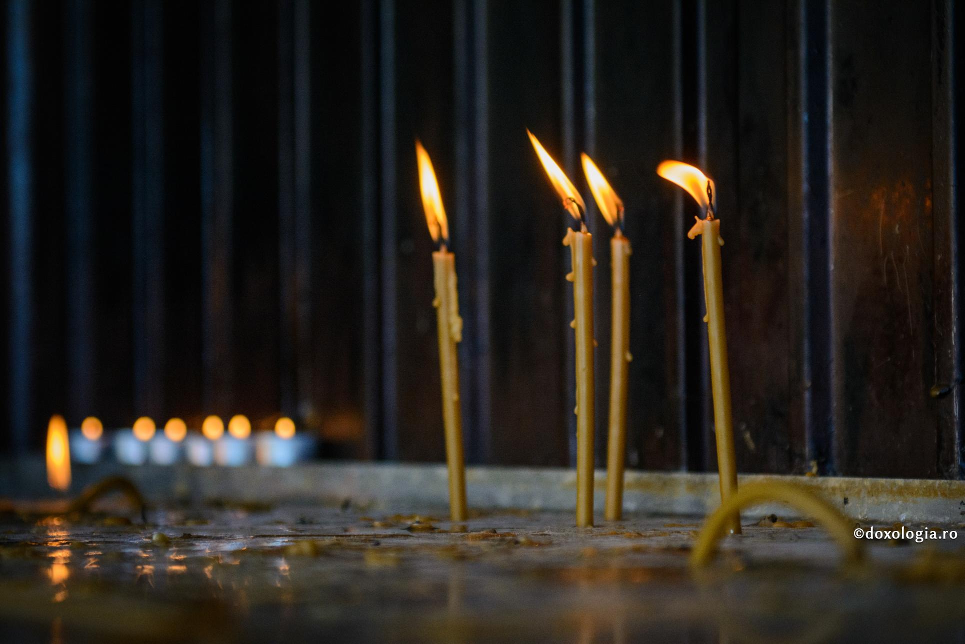 Invidia roade inima omului