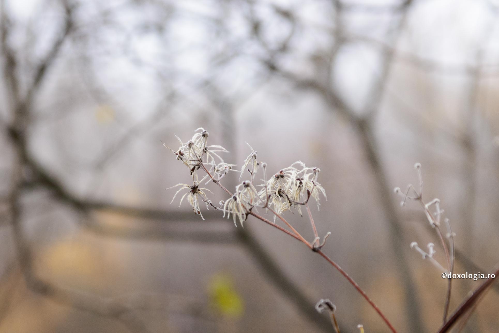 Iubirea noastră este bolnavă