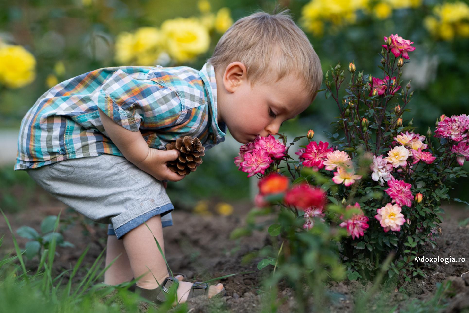 copil mirosind florile