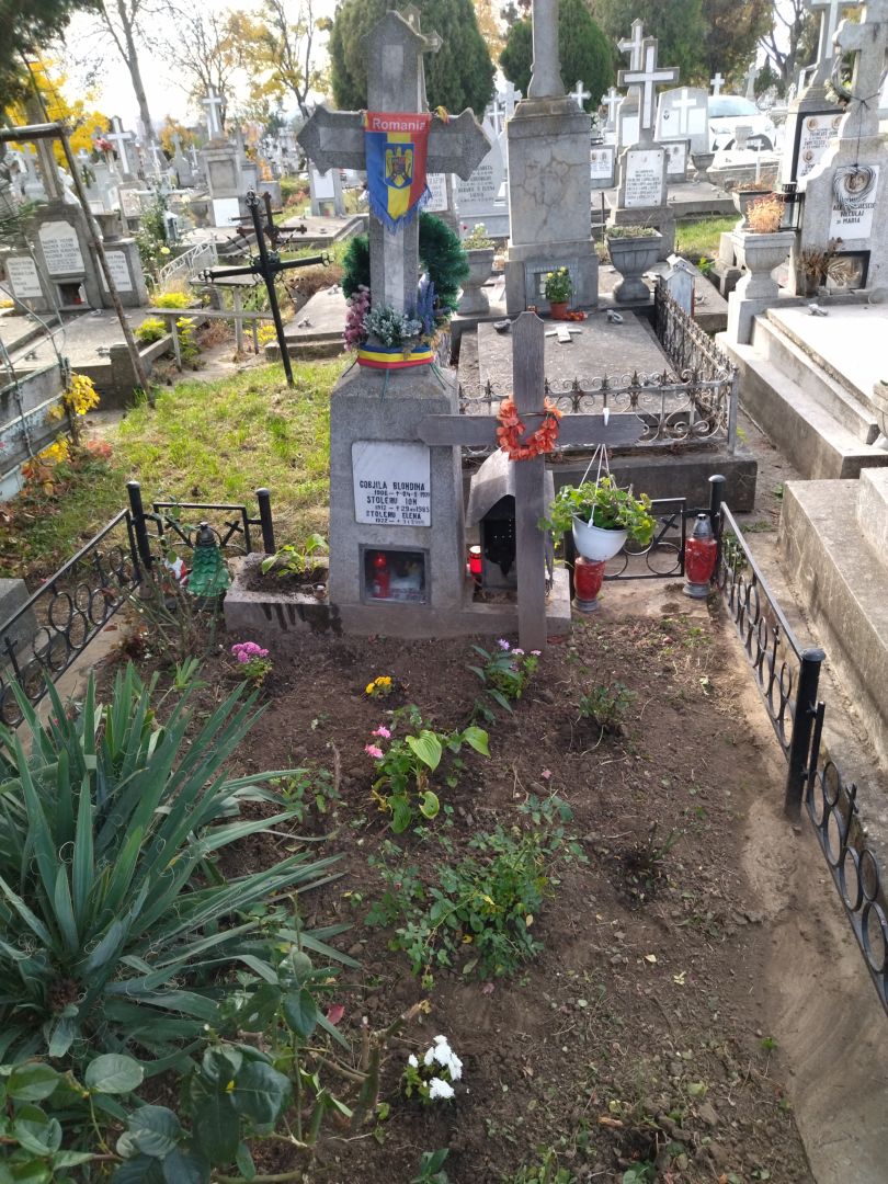 Activitate de întreținere a mormintelor, organizată de SOFR Iași