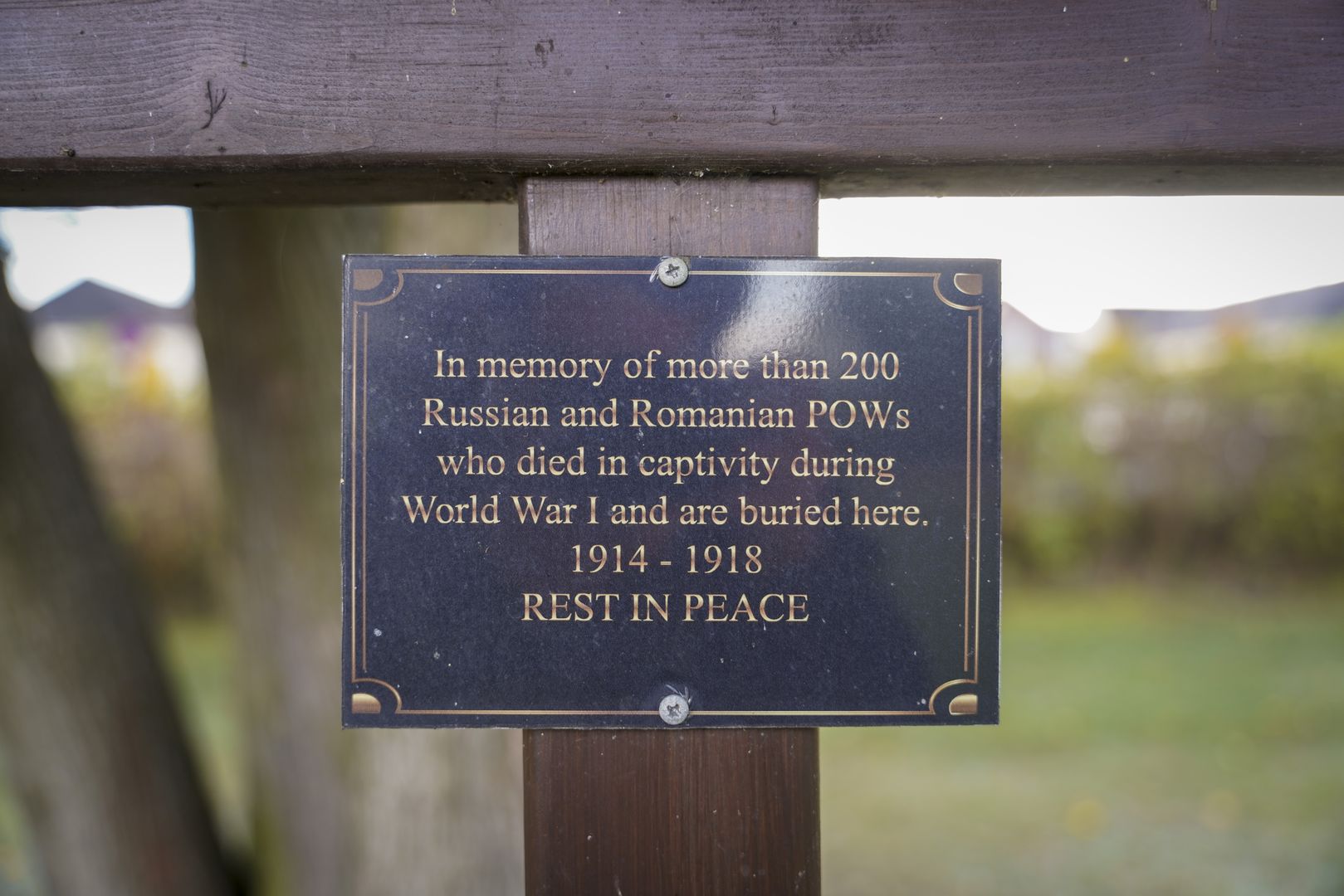 Foto: Julian Temblador / US Army Cimitirul prizonierilor de război din Grafenwöhr – morminte ale soldaților români în Germania (VII)