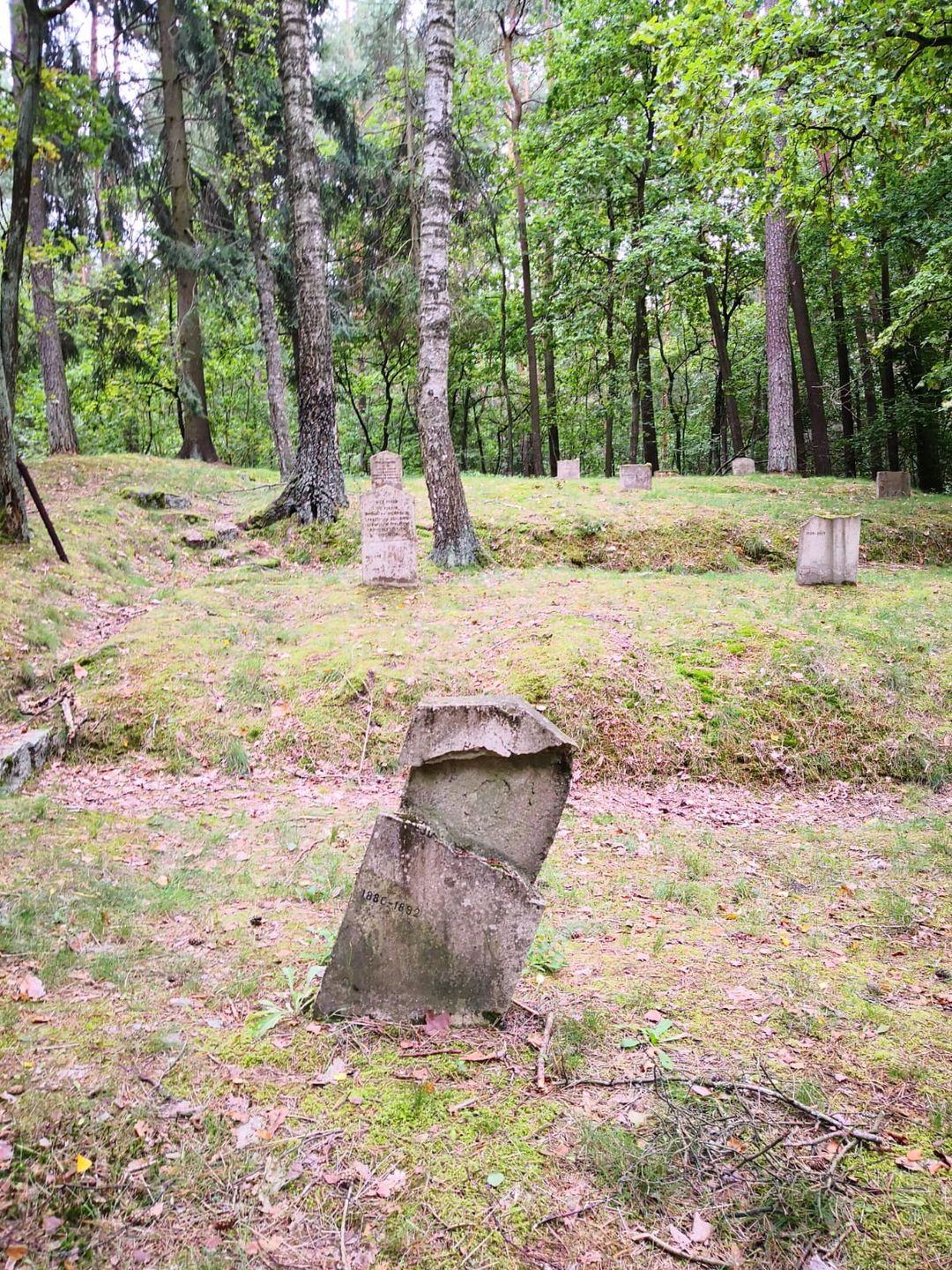 „Cimitirul românilor” din Lidzbark Warmiński – morminte ale soldaților români în Polonia (IV)