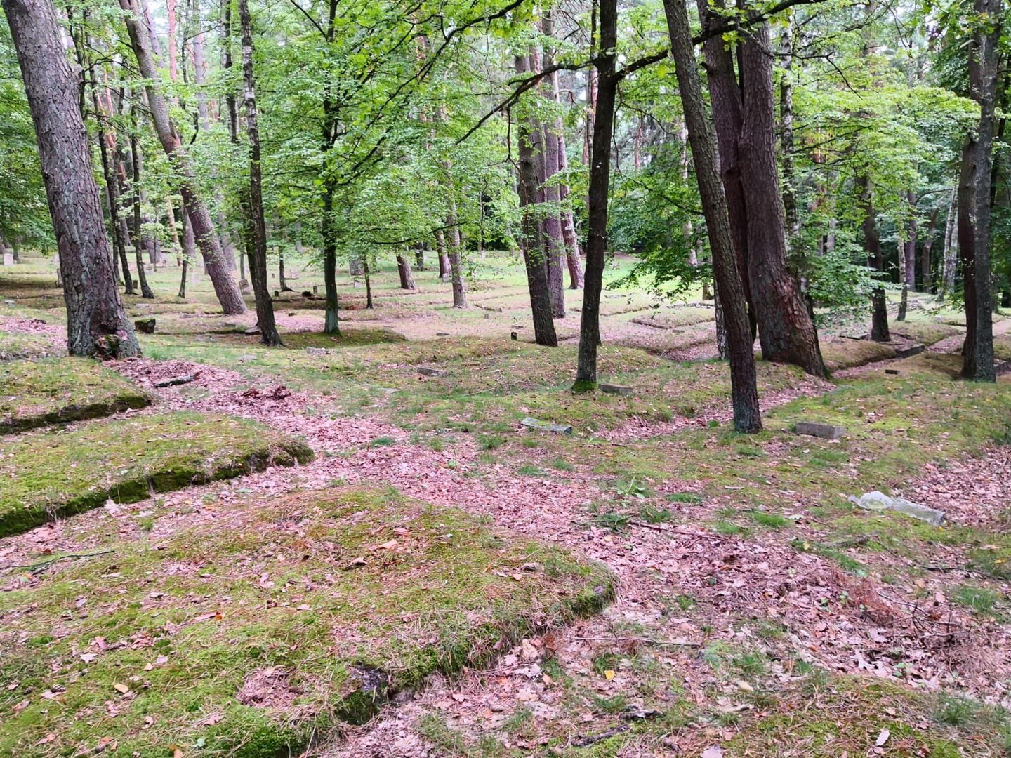 „Cimitirul românilor” din Lidzbark Warmiński – morminte ale soldaților români în Polonia (IV)