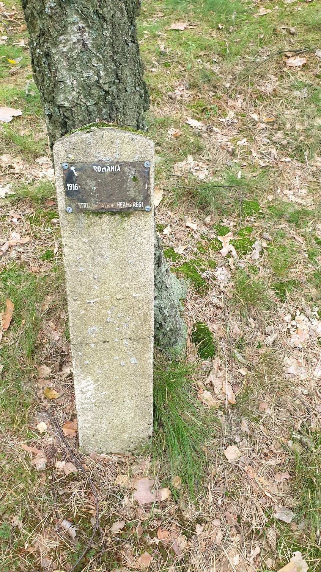 „Cimitirul românilor” din Lidzbark Warmiński – morminte ale soldaților români în Polonia (IV)