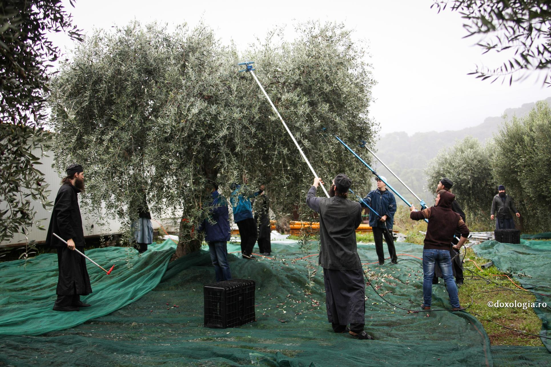 Ascultarea este calea spre a auzi glasul Sfântului Duh în inima noastră