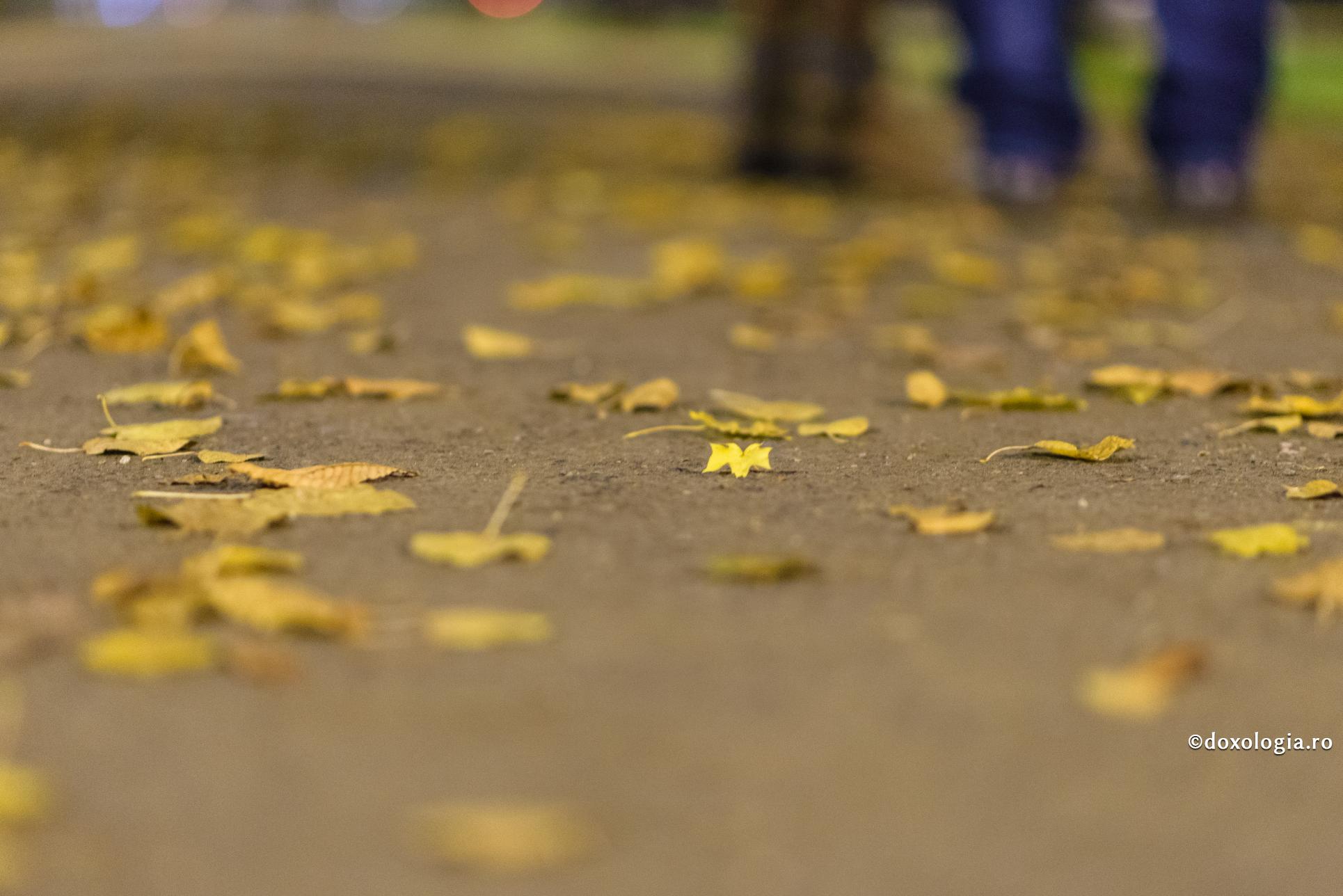 Violenţa în familie