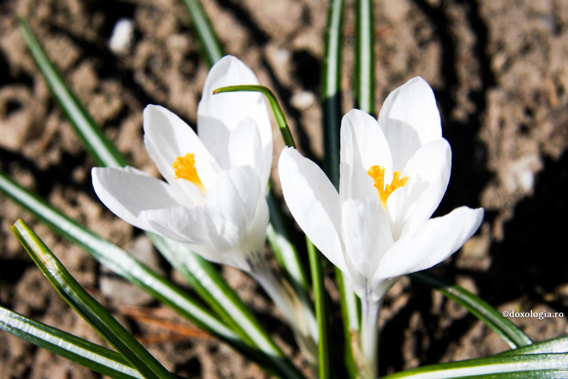 Ce atitudine să am față de o persoană care mi-a făcut rău?