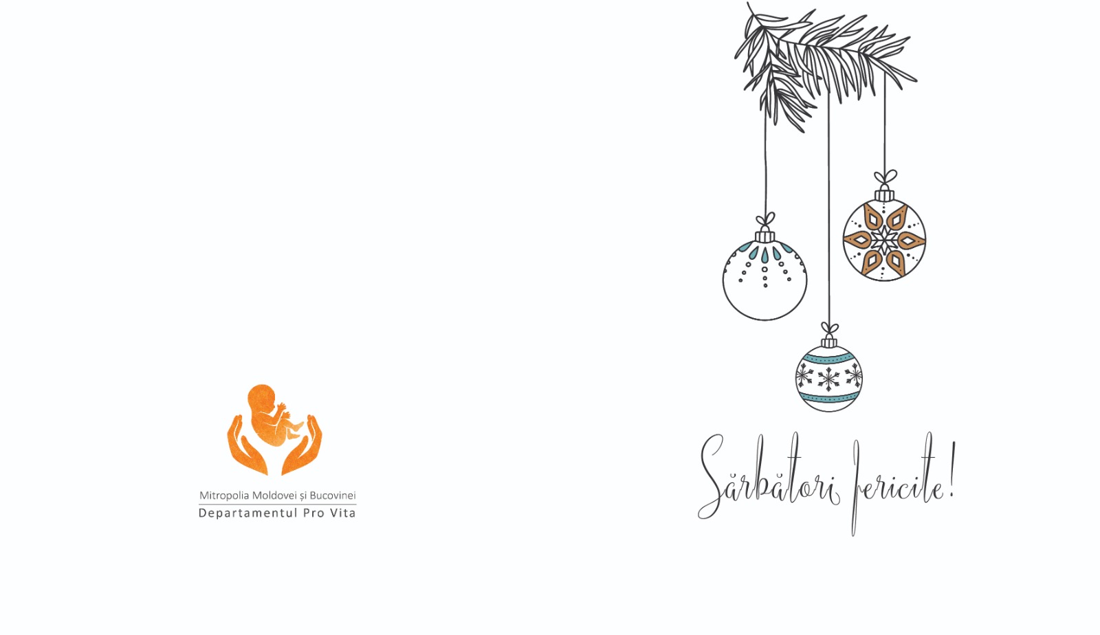 Magazin online Pro Vita Iași: produse tematice de Crăciun, fapte bune pentru familii cu mulți copii