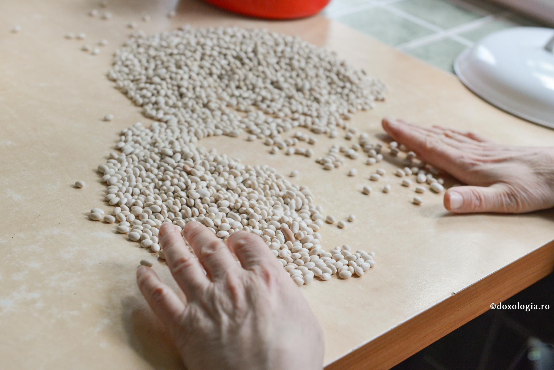 alegerea boabelor de fasole