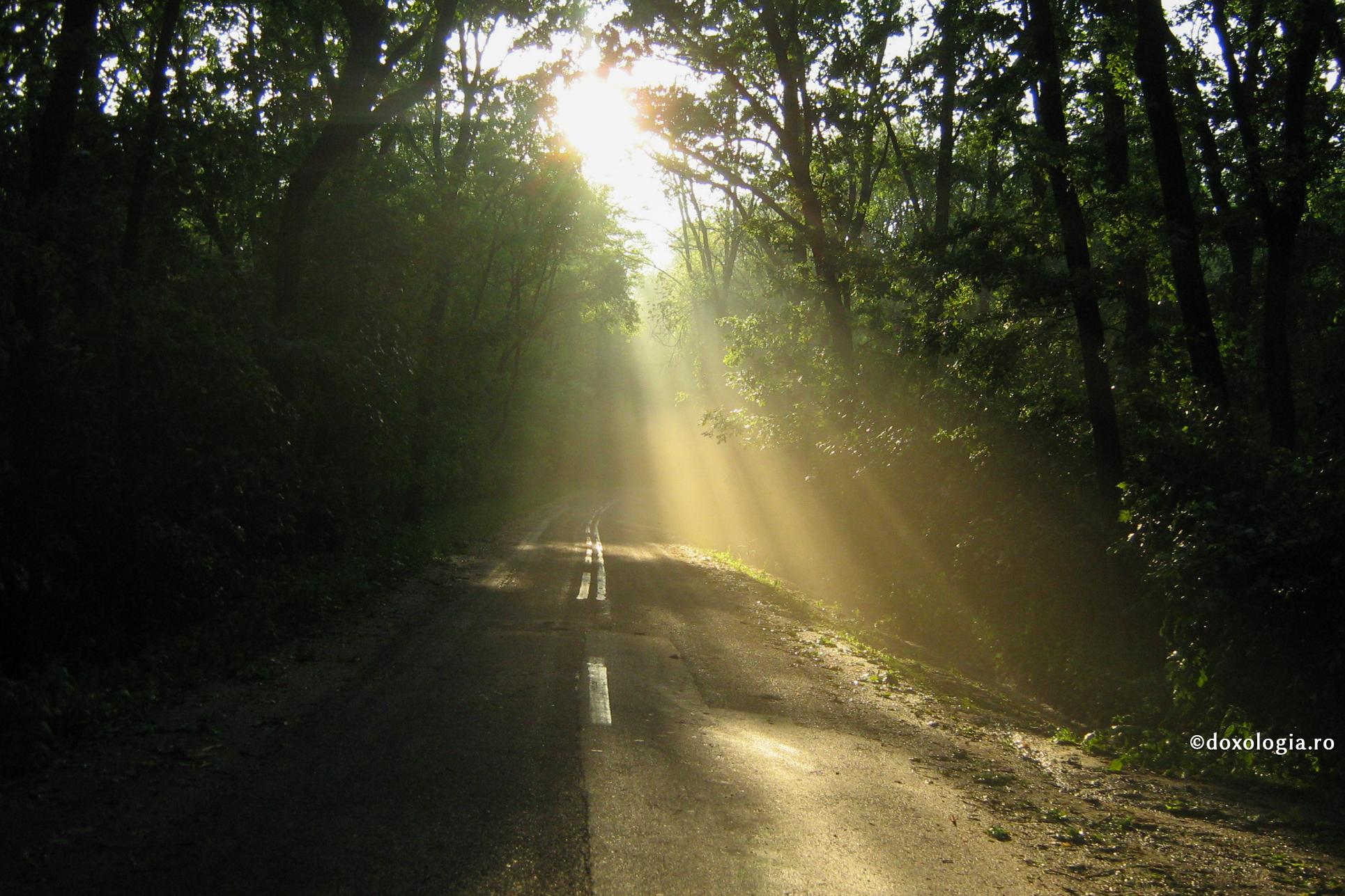 Soare pentru semințele sufletului meu