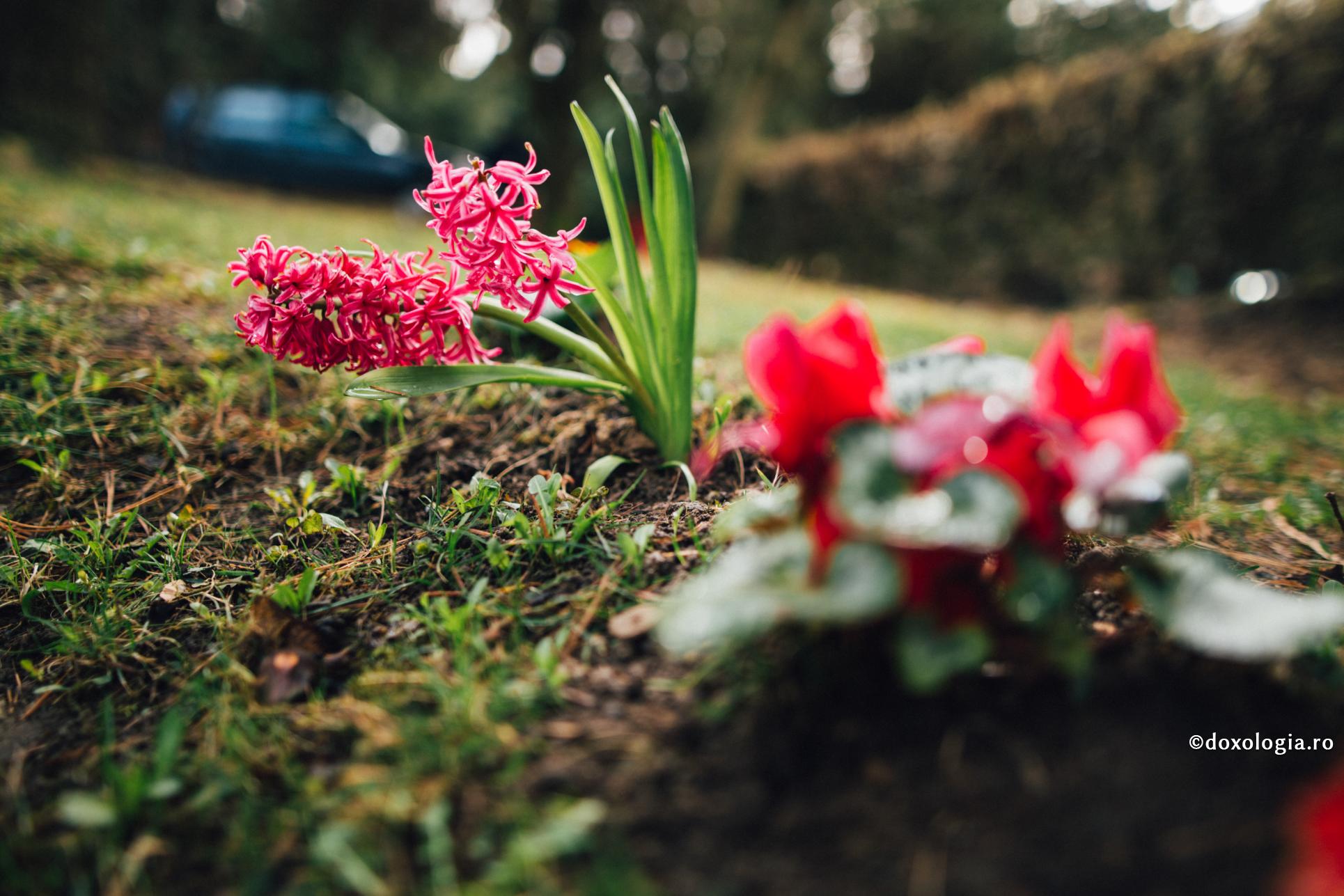 Lasă-i pe cei din jur să râdă de tine!