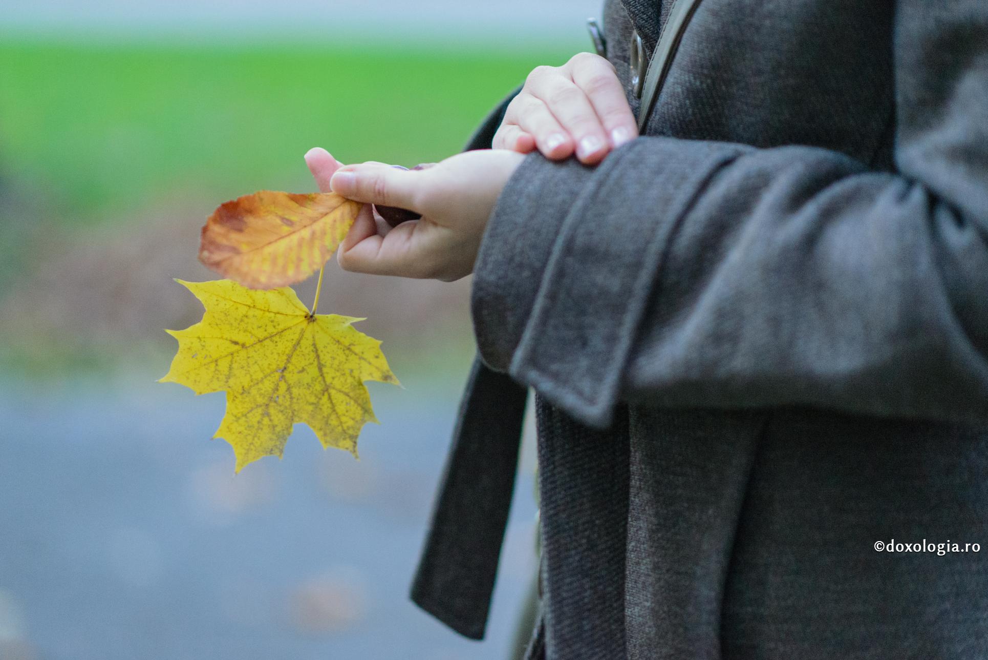 Iertarea ca medicament ‒ vindecarea trupului și a sufletului