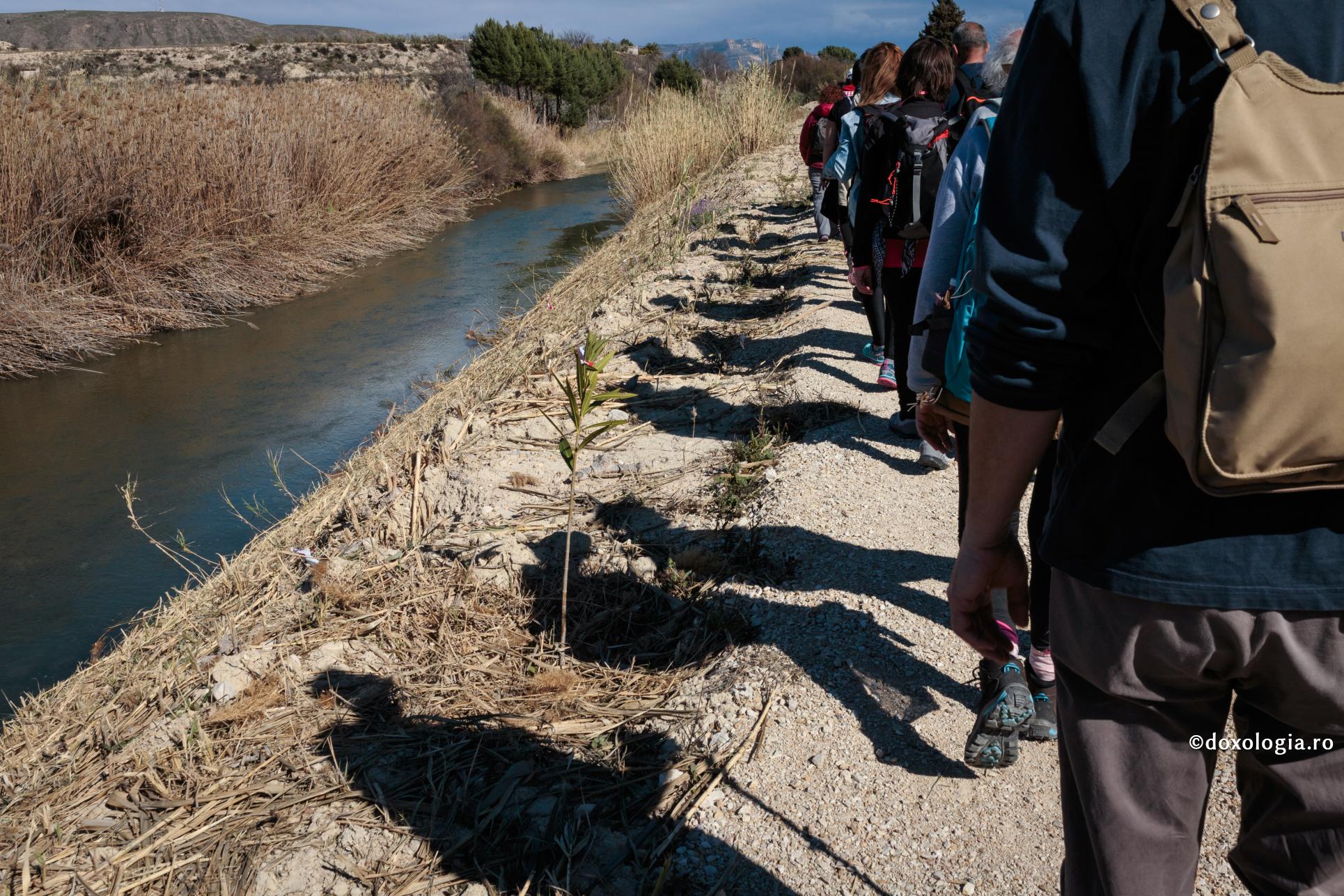 Dar de ce ne dorim noi să fim sănătoşi?