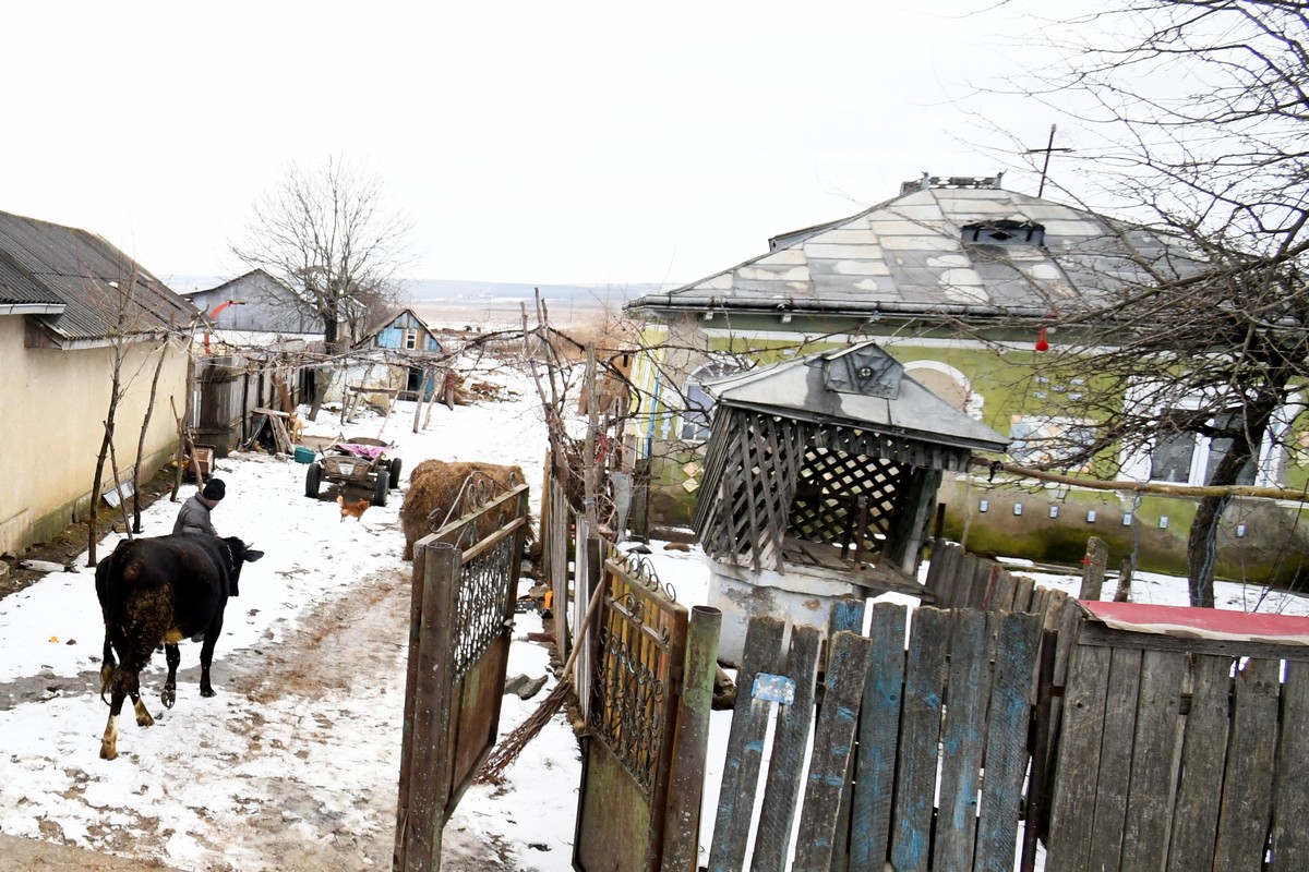 Sprijin din partea Mănăstirii Hadâmbu pentru o familie din satul Fântânele