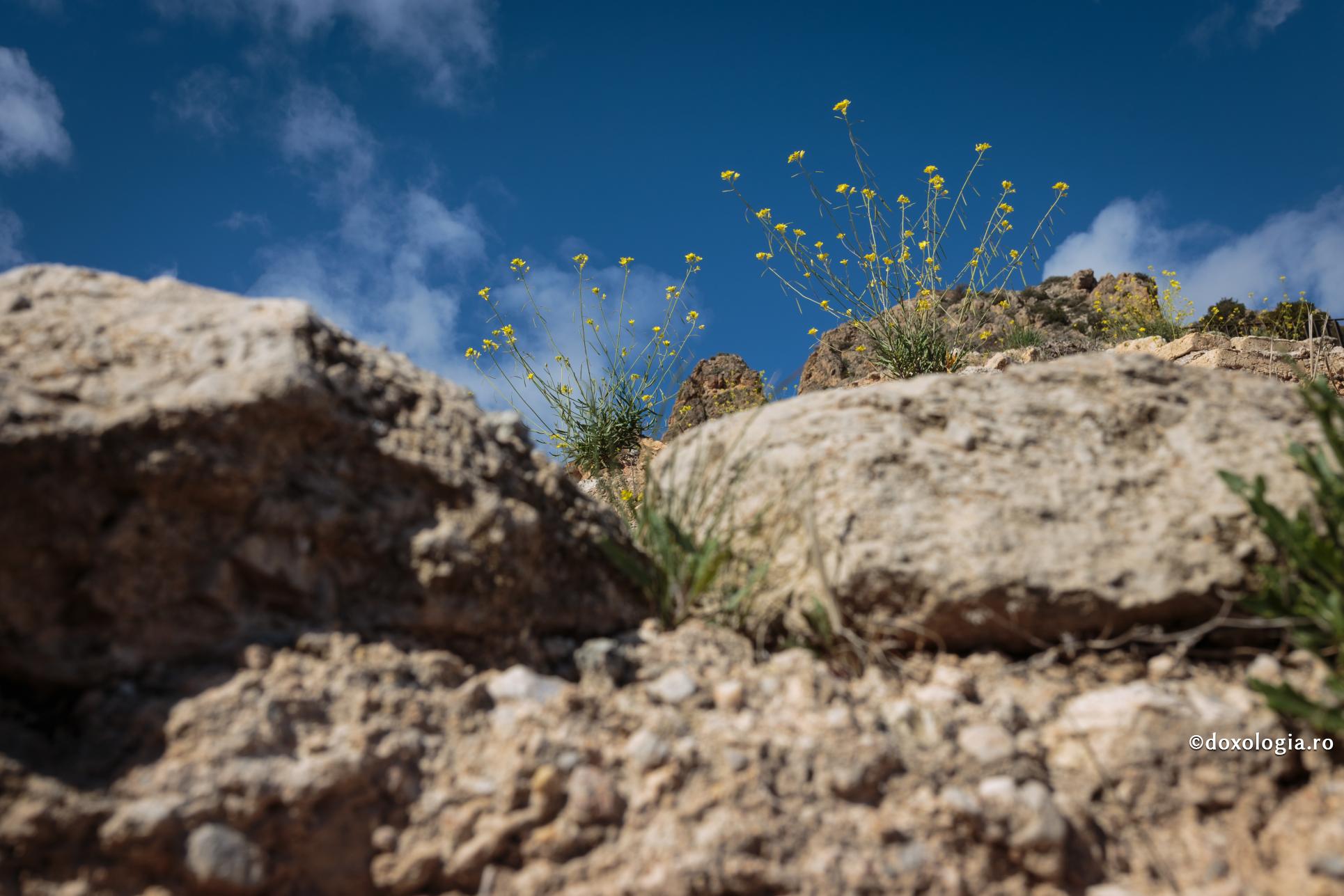 Cancerul, o piedică în calea mântuirii?
