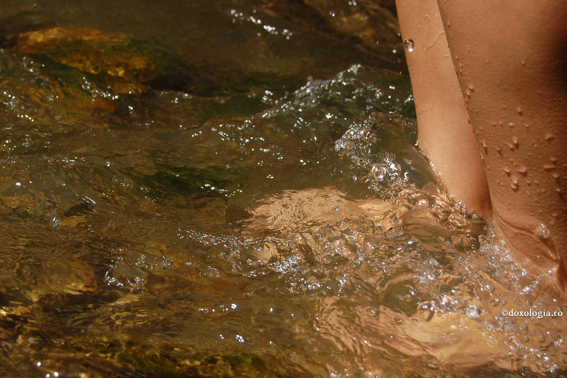 Să nu permitem pornirilor păcătoase să tulbure izvorul inimii